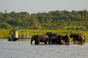 Chobe National Park 4X4 Day Safari and River Cruise