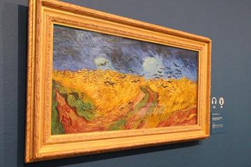 Van Gogh Museum Amsterdam Guided Tour with Art Historian