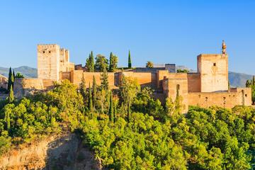 Alhambra and Generalife Private Guided Tour