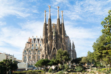 Early Access to Sagrada Familia with Optional Tower Access