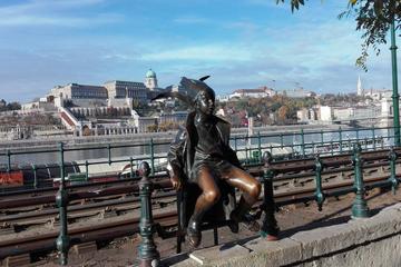 Excursión privada en coche por...