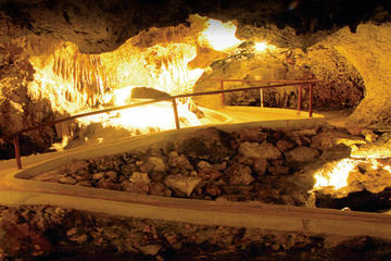 Half Day Hato Caves and Ostrich Farm Tour from Willemstad