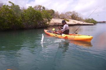 Kayak Fishing Adventure