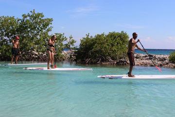 Stand Up Paddle Boarding Tour