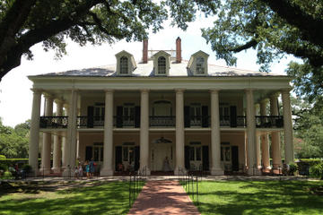 Experience Cajun Country: Swamp Boat Adventure and Plantations Full-Day Tour from New Orleans