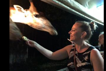 Chiang Mai Night Safari