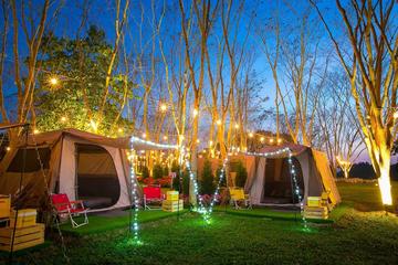 Tent Camp at Chiang Rai