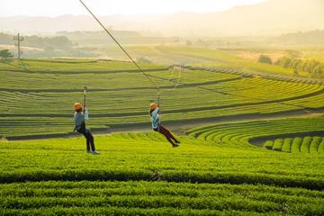 Zipline at Singha Park