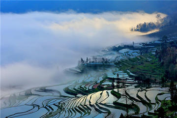 Longji Terraced Field & Yao Minority Women's Long Hair Show Full Day Tour