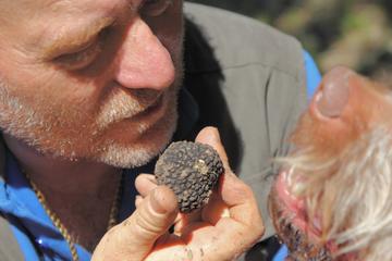 Searching for truffles