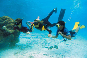 Snorkeling Tour at Land's End in Cabo San Lucas