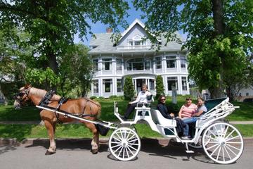 Princes' Island Tour from Istanbul Including Boat and Carriage Ride