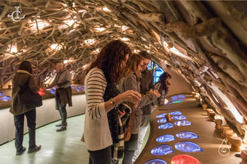 Guided Visit and Wine Tasting in a Royal Wine Cellar in Paris