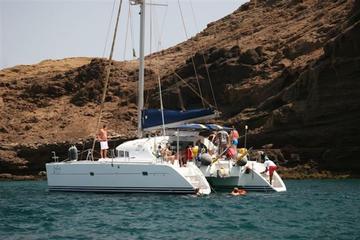 Half-Day Sal Island Catamaran Cruise from Santa Maria