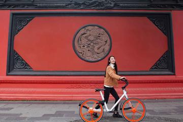Private Day Tour: Beijing Sharing Bike Experience with Lunch