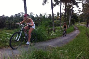 Downhill Bali Hidden Cycling Tour