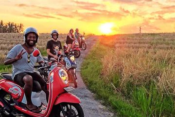 Ubud Small-Group Scooter Tour with Hotel Transfers