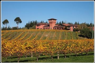 Private Tour: Marlborough Winter Wine and Scenic Tour from Picton