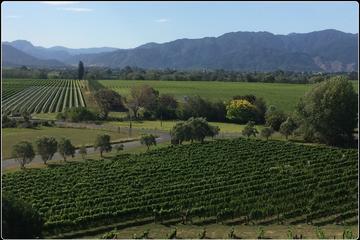 Private Wine Gourmet and Scenic Delights Tour from Picton