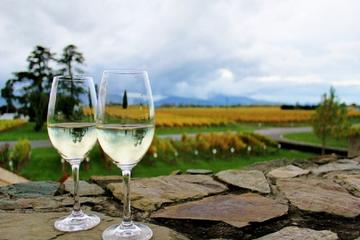 Progressive Wine and Gourmet Summer Trail of Marlborough