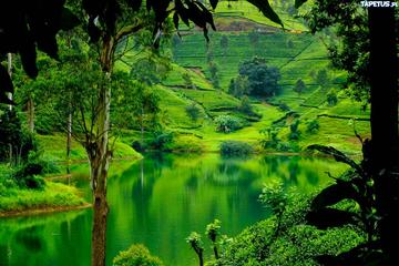 6 Days in Sri Lanka Central Highlands and Southern Beach