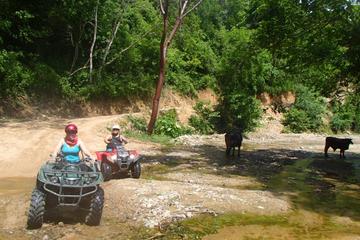 Private Tour: Rancho Las Vegas ATV Adventure