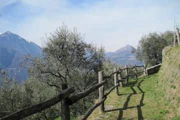 Small Group Hike from Varenna