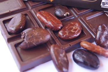 Kaokao Factory Chocolate Tour
