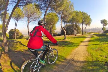 Mountain Biking in Madrid - Small-Group