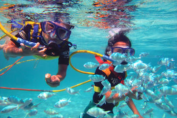 Half-Day Catamaran Cruise from Punta Cana with Parasailing, Snorkeling, Swimming