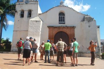 Higuey Half Day Safari Tour from Punta Cana