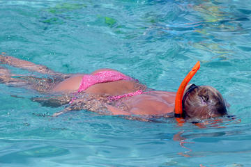 Private Catalina Snorkeling Full-Day Tour