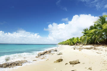 VIP Catalina Snorkeling and Altos De Chavon Full-Day Tour