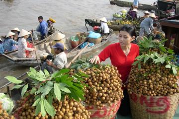 2 Days Tour Can Tho floating Market &dinner cruise(DLX HOTEL)