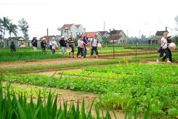 Agriculture experience Vietnamese traditional cooking classes