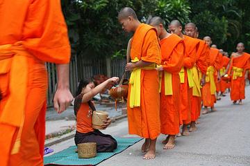 Full Day Alms offering, City Tour and Pak Ou Caves (lunch and dinner included)