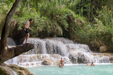 Full Day Alms offering, Pak Ou Caves, Kuang Si Fall - Mon tribe village (lunch included)