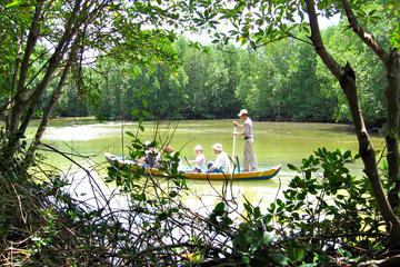 Full-day Can Gio Biosphere Reserve from Ho Chi Minh City