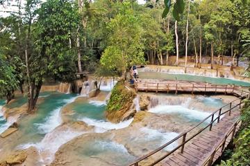Full Day City Tour and Tad Sae Water Fall (lunch and dinner included)
