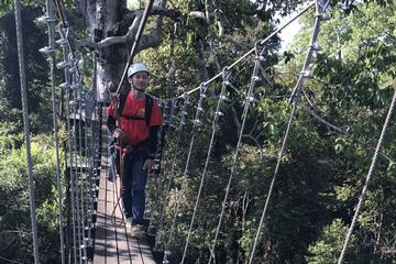 Half Course Zip Line and Half Day Beng MealeaTour
