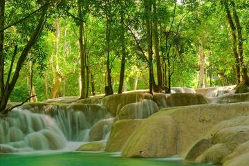 Half day jungle trek local ethnic village,Tad sae water fall (No meal)