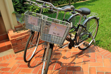 Half day Luangprabang cycling tour (No meal)