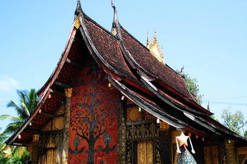 One day city tour and Pak Ou caves including lunch