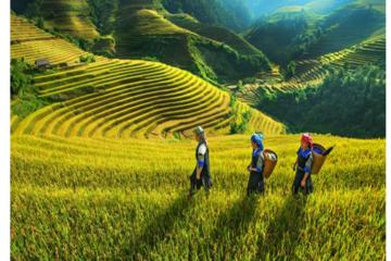 One day private car &guide (Ha Noi suburb)