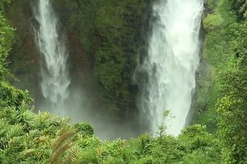 One day Solf trekking at coffee plantation (lunch included)