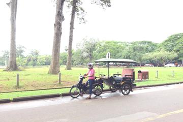 Tuk Tuk 1Day Private Use (within city limit)