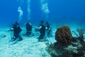 Full-Day Racha Yai Private Scuba Diving Course from Phuket