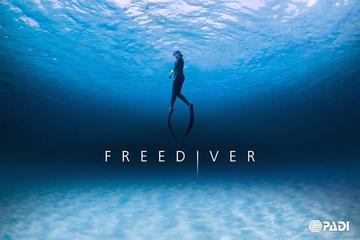 PADI Basic Freediver in Phuket