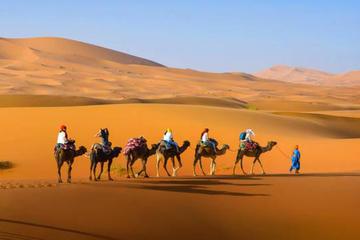 3 Day Private Desert Tour from Fez to Marrakesh
