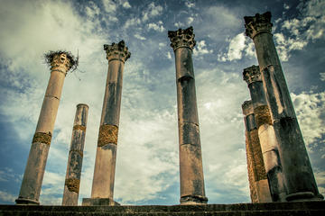 One Day Trip to Volubilis - Moulay Idriss - Meknes